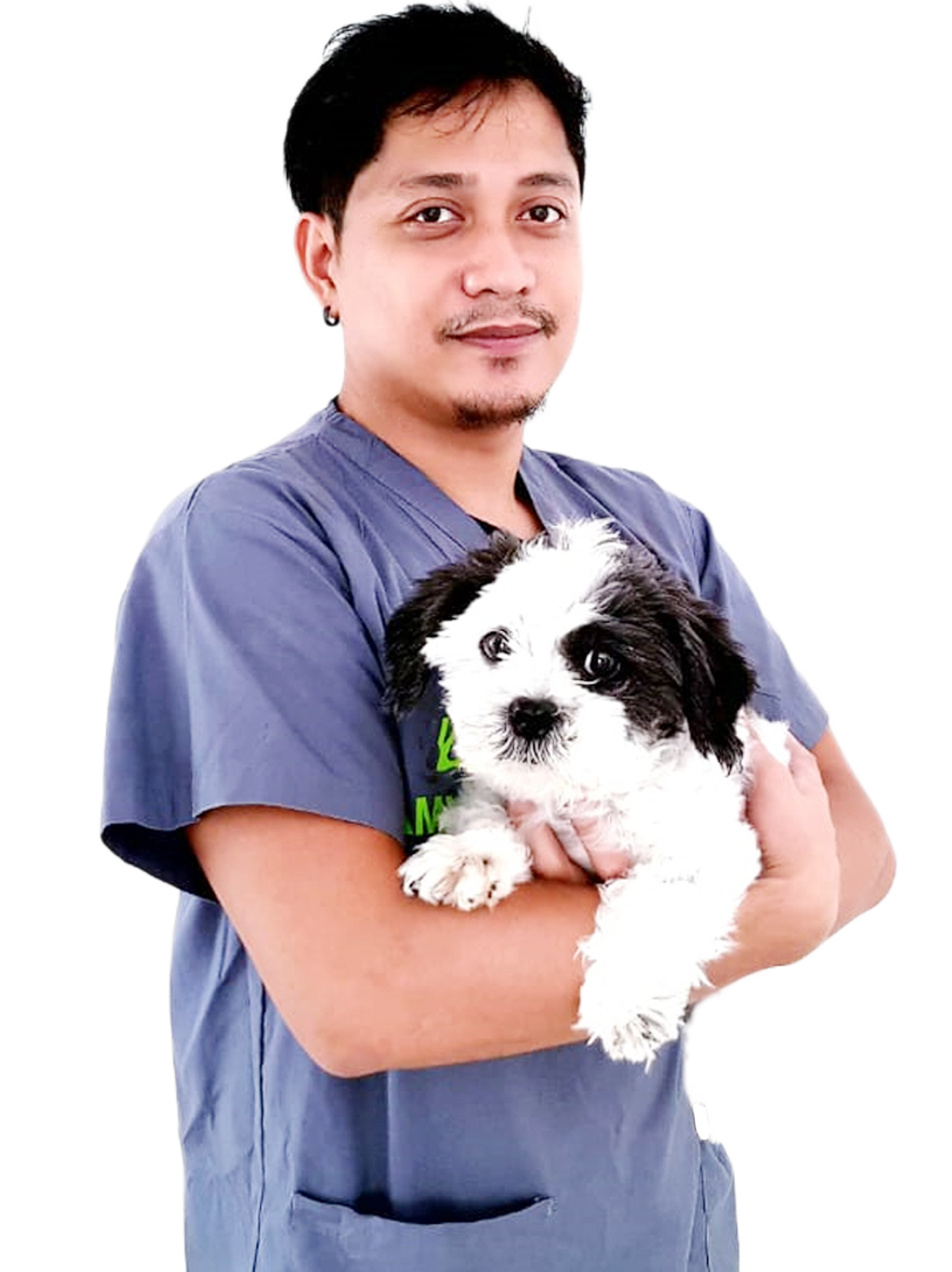 stephan veterinary clinic in dubai