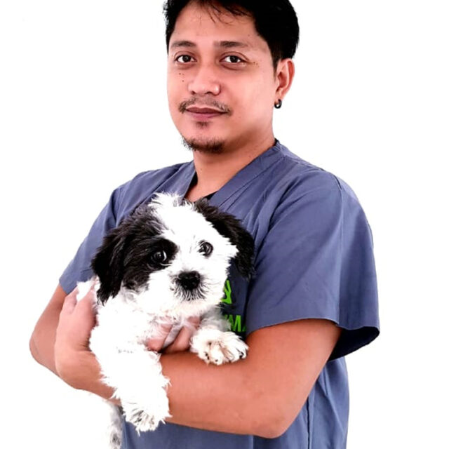 stephan veterinary clinic in dubai