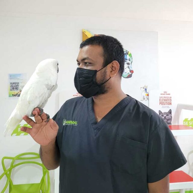 Dr.Raheem veterinary clinic in dubai
