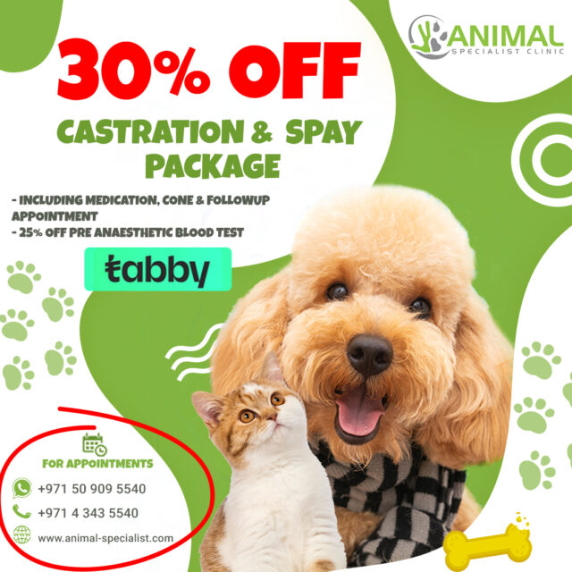 castration and spay package for pets
