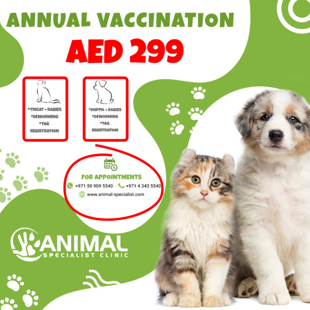 Annual Vaccination for pet