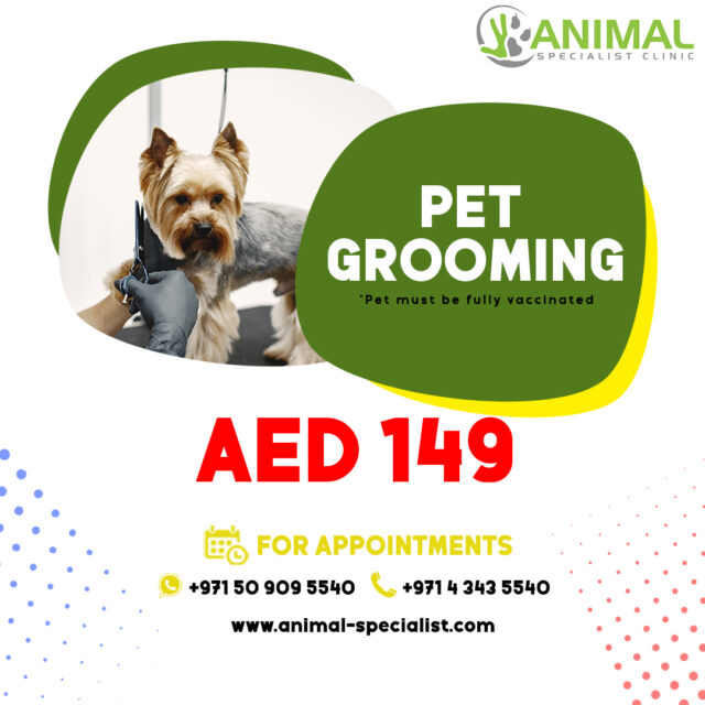 https://animal-specialist.com/wp-content/uploads/2023/04/grooming-640x640.jpg